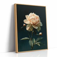 Ivory Peony, Dutch Master Mood