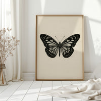 Monarch in Ink and Silence
