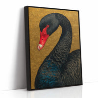 The Black Swan Knows Her Worth