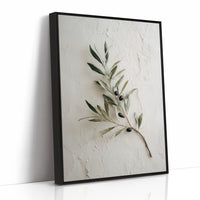 Mediterranean Simplicity Speaks Peace