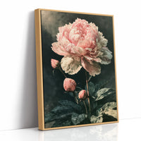 Peony Caught in Corner Light