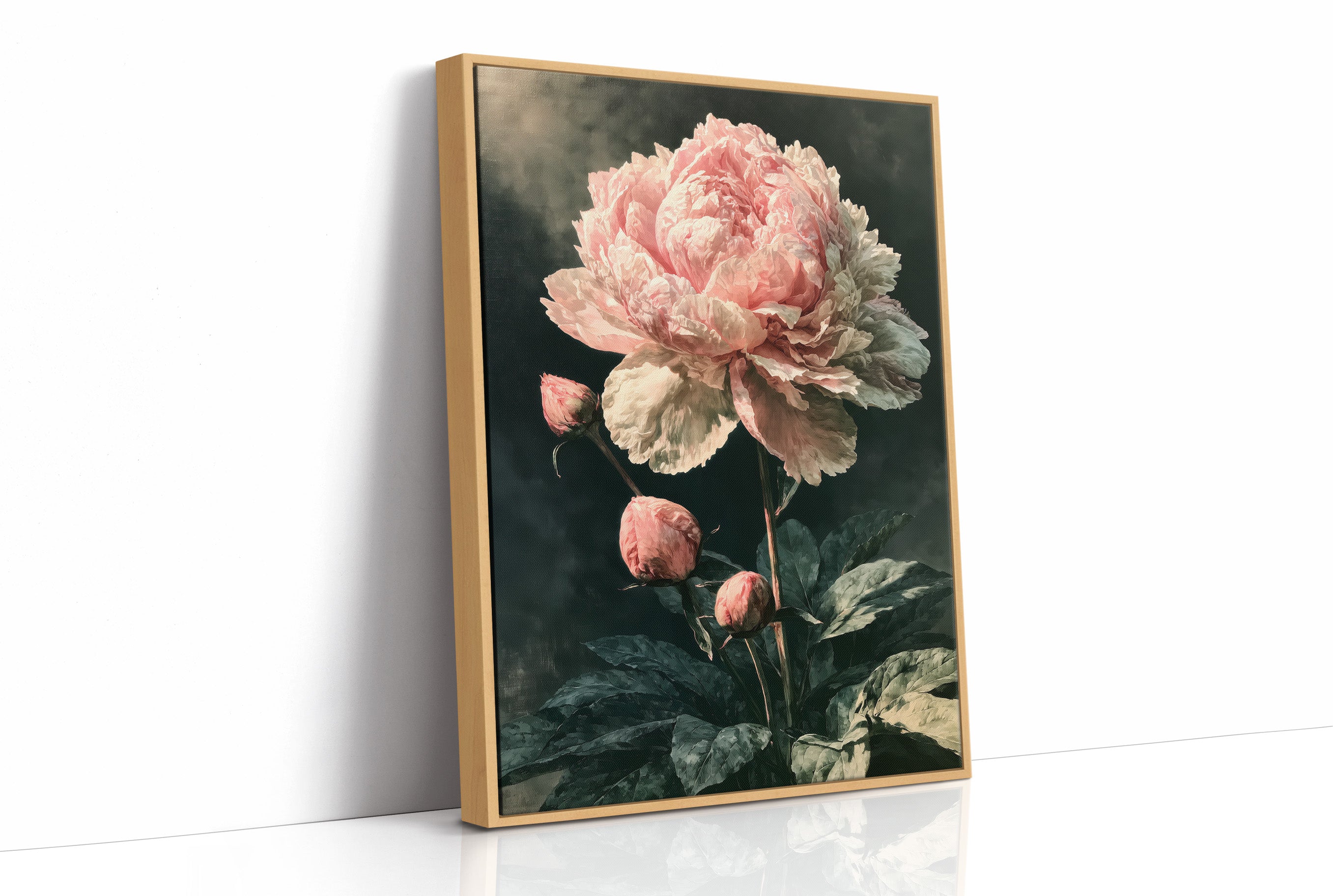 Peony Caught in Corner Light