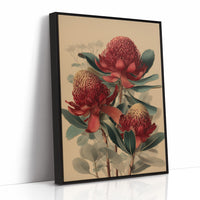 Crimson Waratahs in Bloom