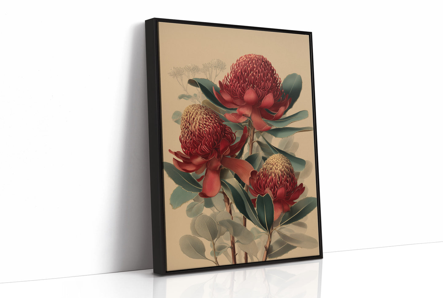 Crimson Waratahs in Bloom