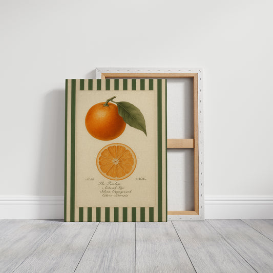 Vintage Orange Slice Botanical Study
