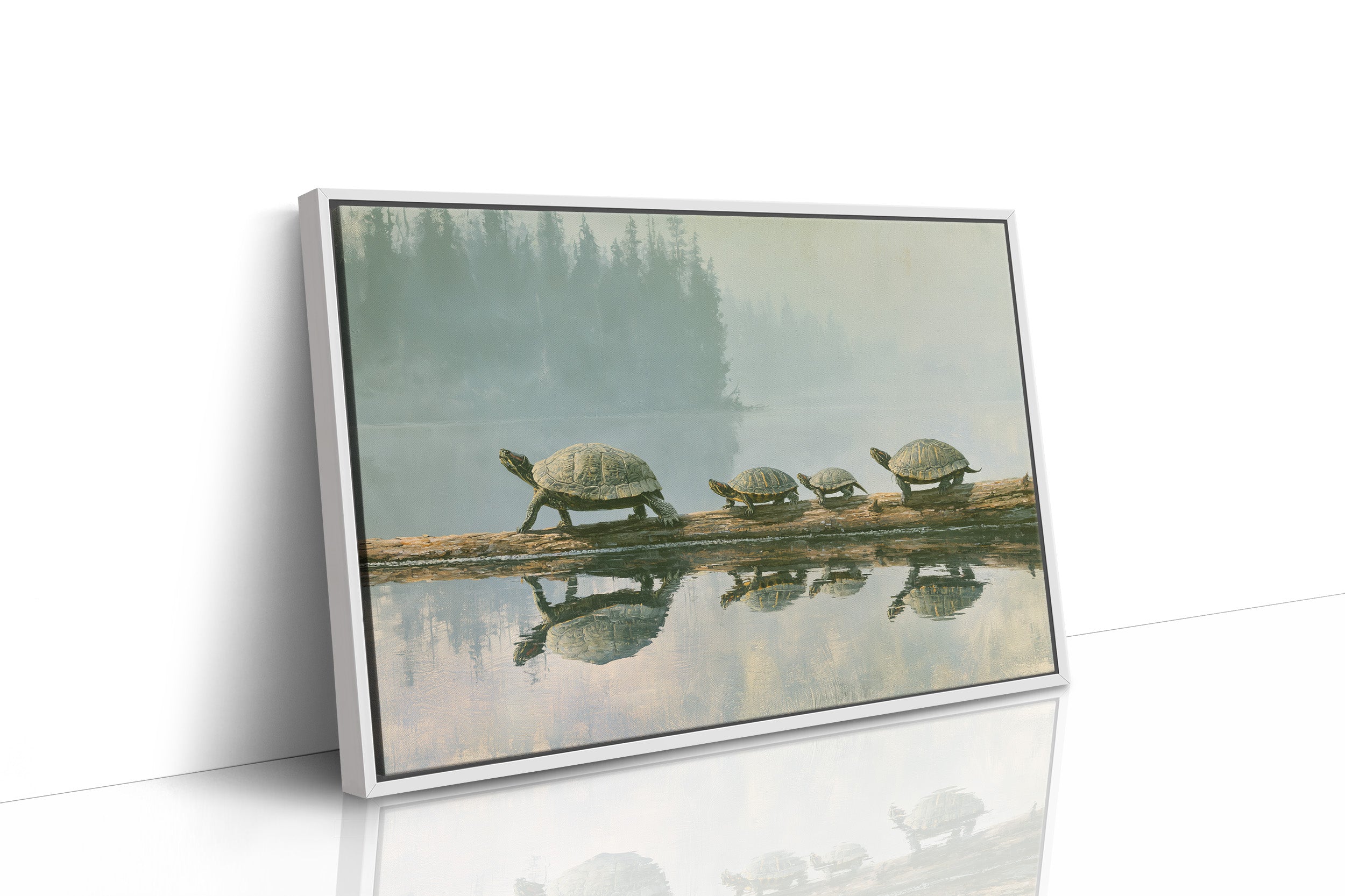 Turtle Family, No Rush