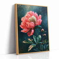 Coral Peony Against Midnight Blue
