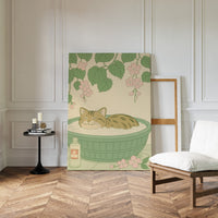 Soak & Purr – Cat Spa Dreams