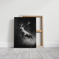 Antlers Through the Midnight Fog