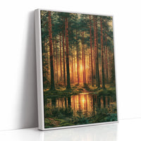 The Sunlit Path: Pine Forest Reflection at Dusk