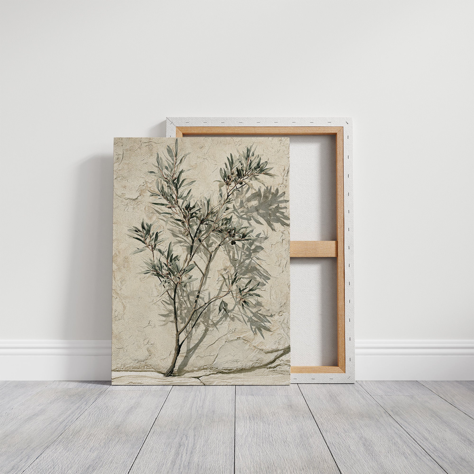 Olive Branch, Shadow on Plaster
