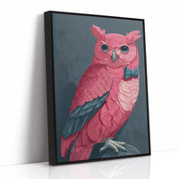 Pink Owl, Dapper in Blue