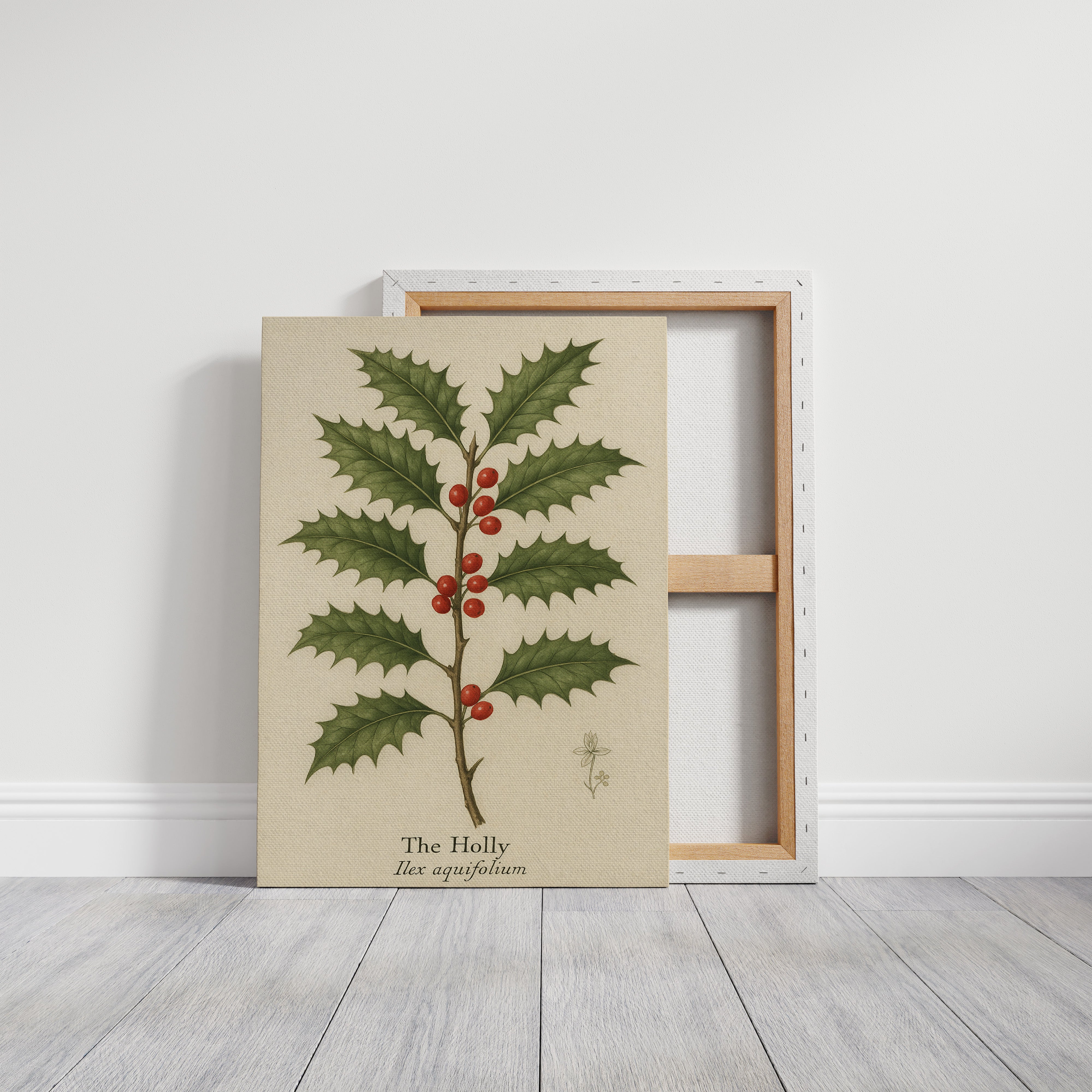 The Holly Botanical Art Print