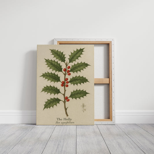 The Holly Botanical Art Print