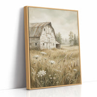 Weathered Barn in the Meadow