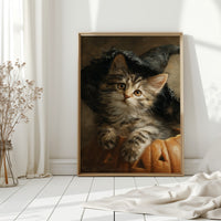 Magic in a Pumpkin Patch