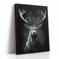 Midnight Tales From Northern Woods