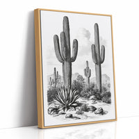 Desert Engraving With Agave