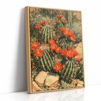 Desert Cactus in Full Bloom