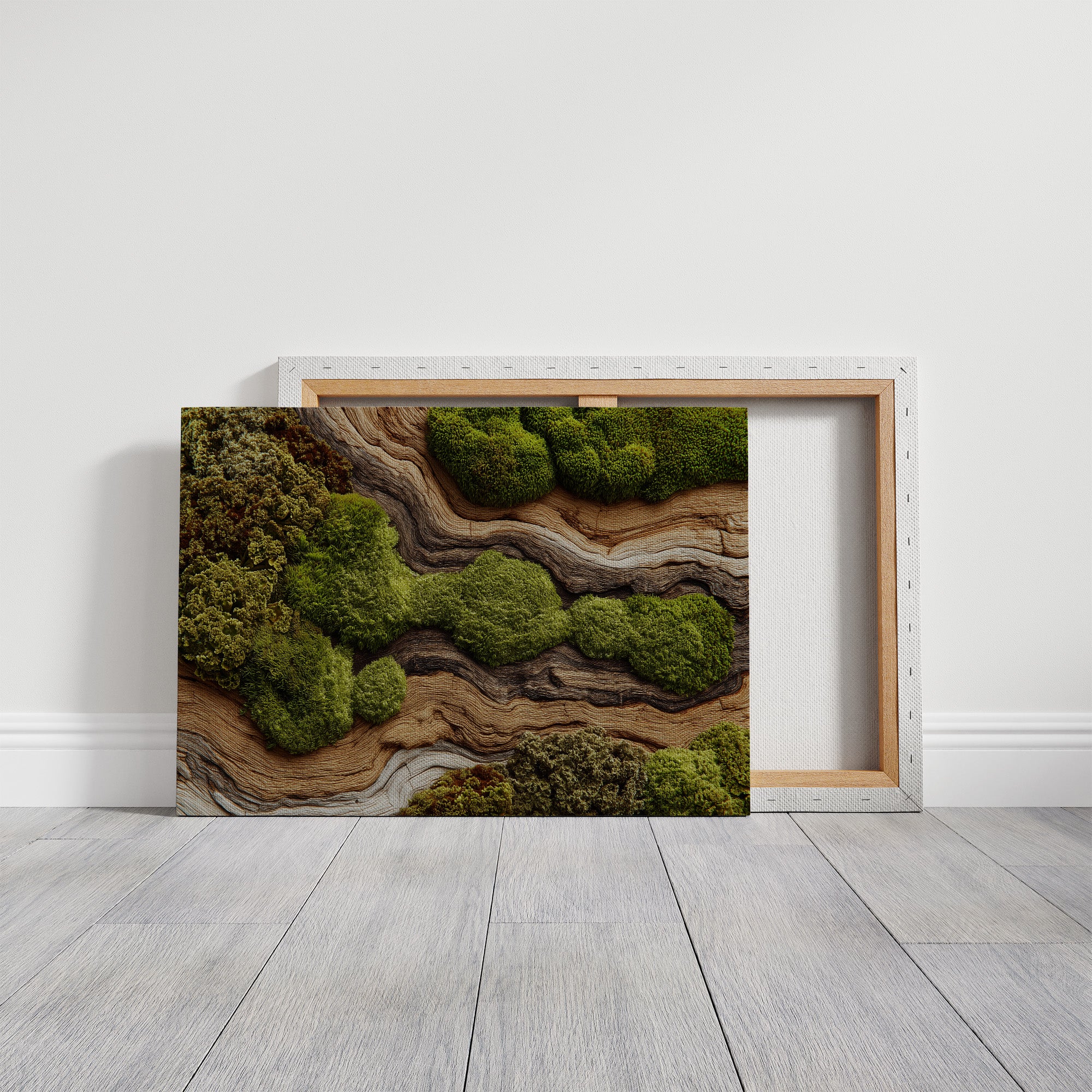 Where Moss Remembers Ancient Wood