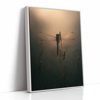 Dragonfly Pauses In Amber Light