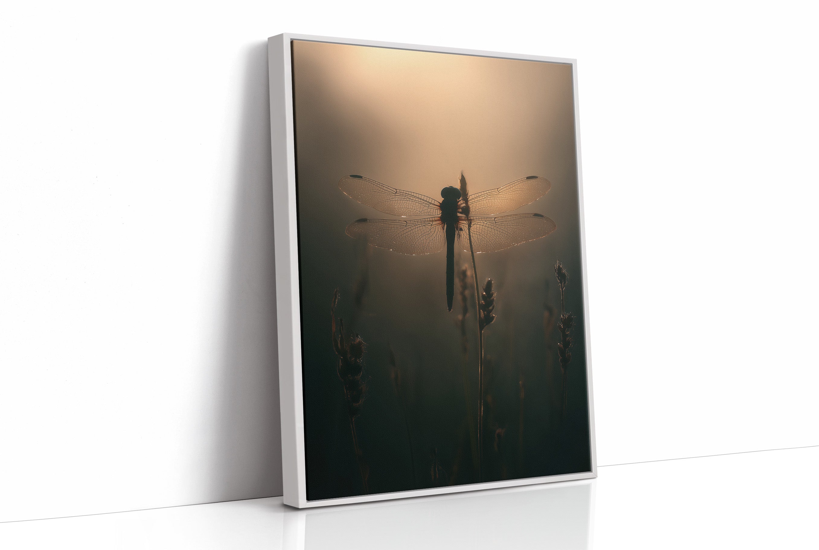 Dragonfly Pauses In Amber Light