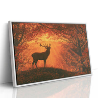 Stag, Struck by Sunrise