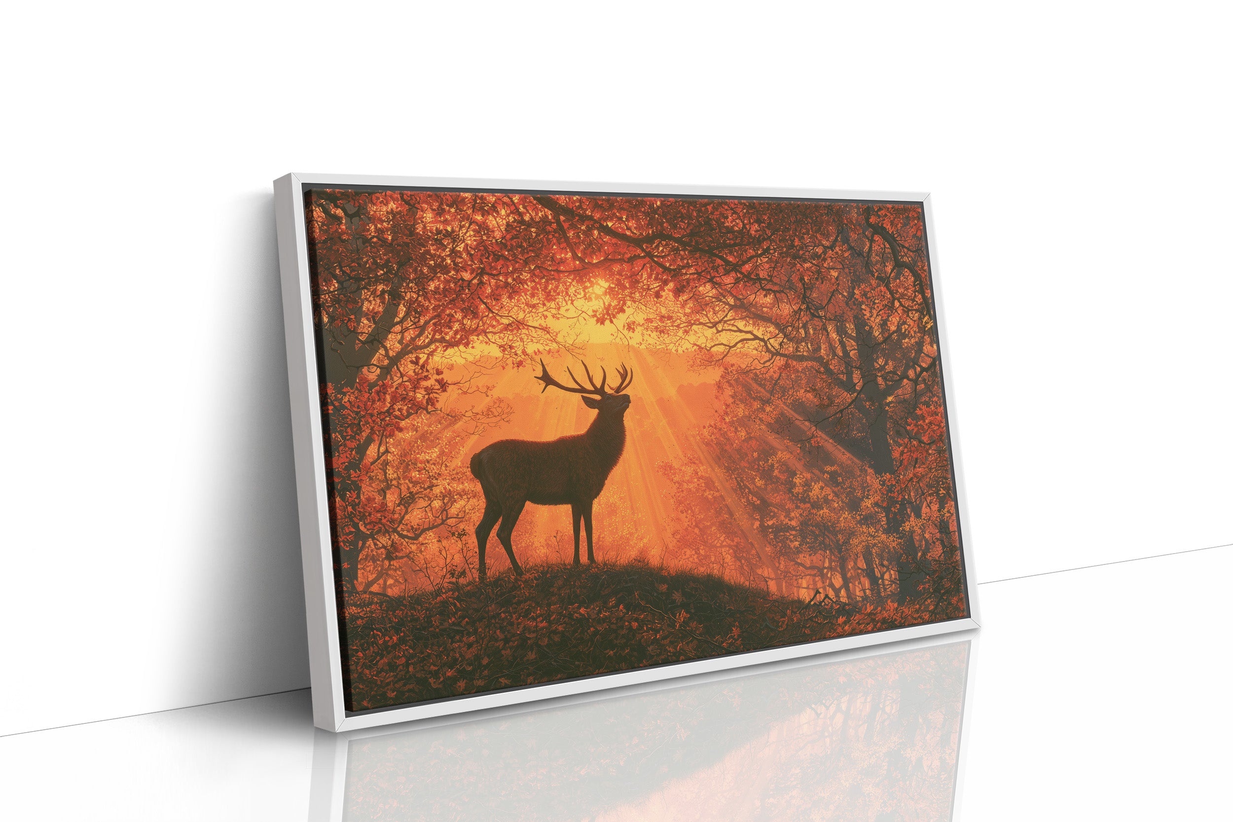 Stag, Struck by Sunrise