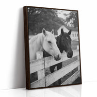 Pasture Gate Conversations