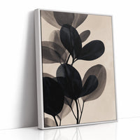 Monochromatic Foliage: Shadows and Light