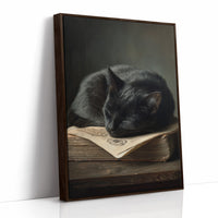 Midnight Scholar Takes Pause