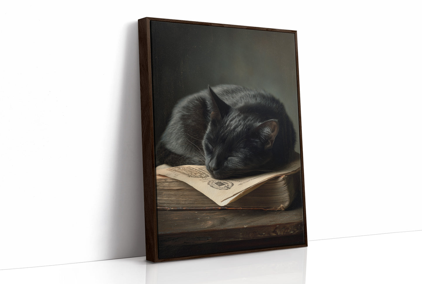 Midnight Scholar Takes Pause