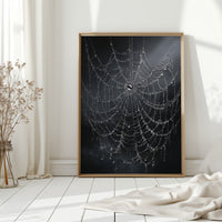 Intricate Threads of Morning Light