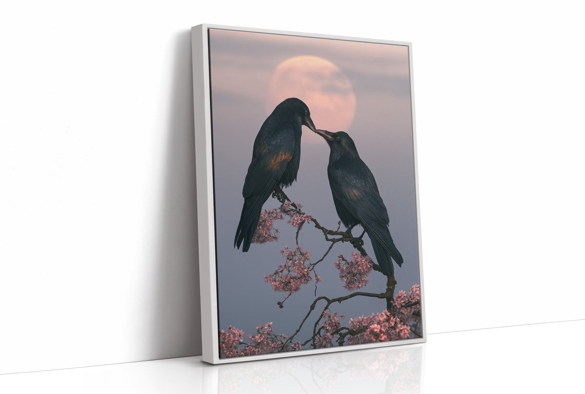 Ravens Share a Secret