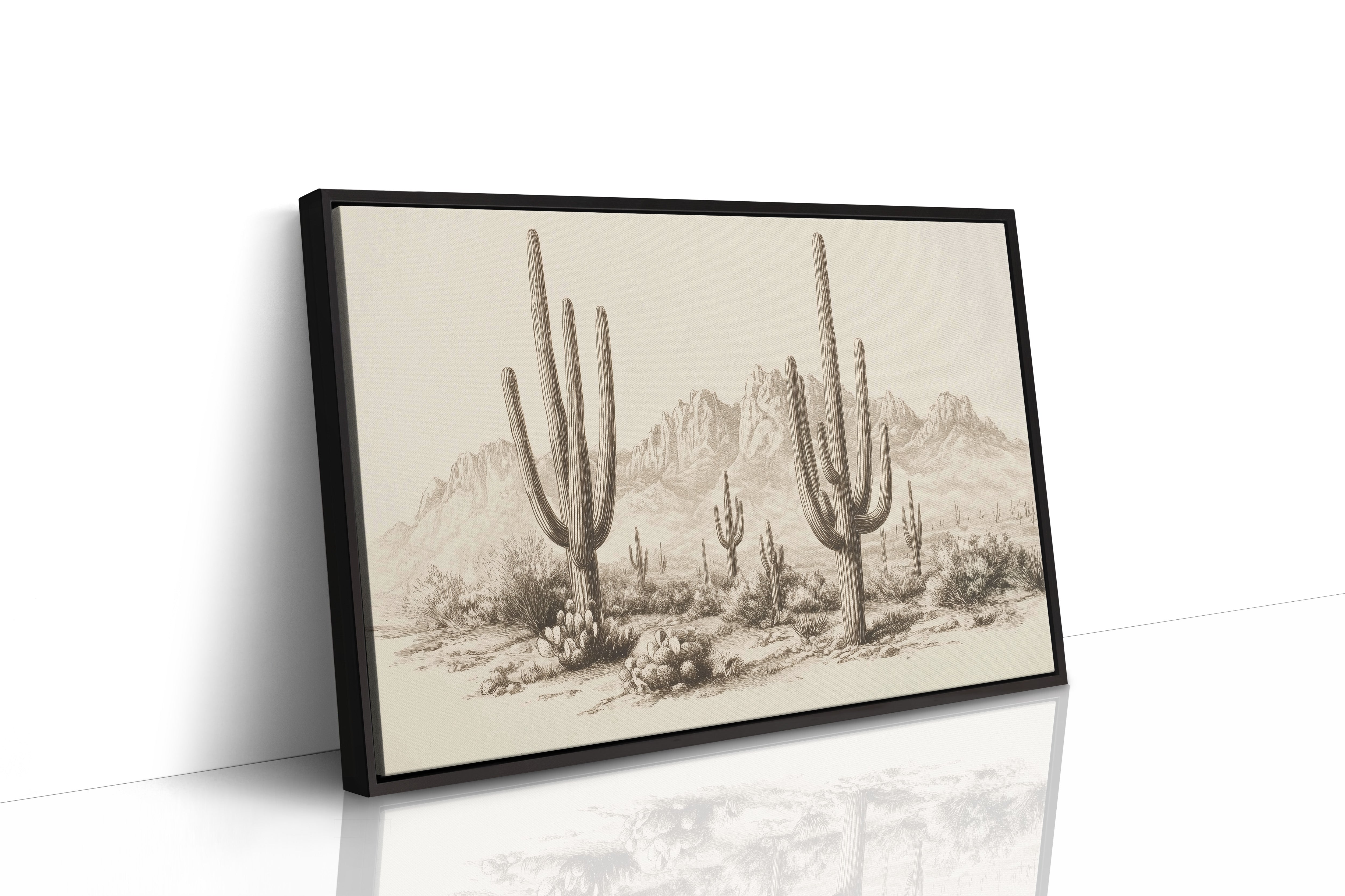 Saguaros Keep Ancient Mountain Secrets