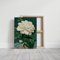 White Bloom on Cracked Teal Canvas
