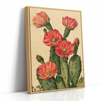 Coral Bloom Prickly Pear