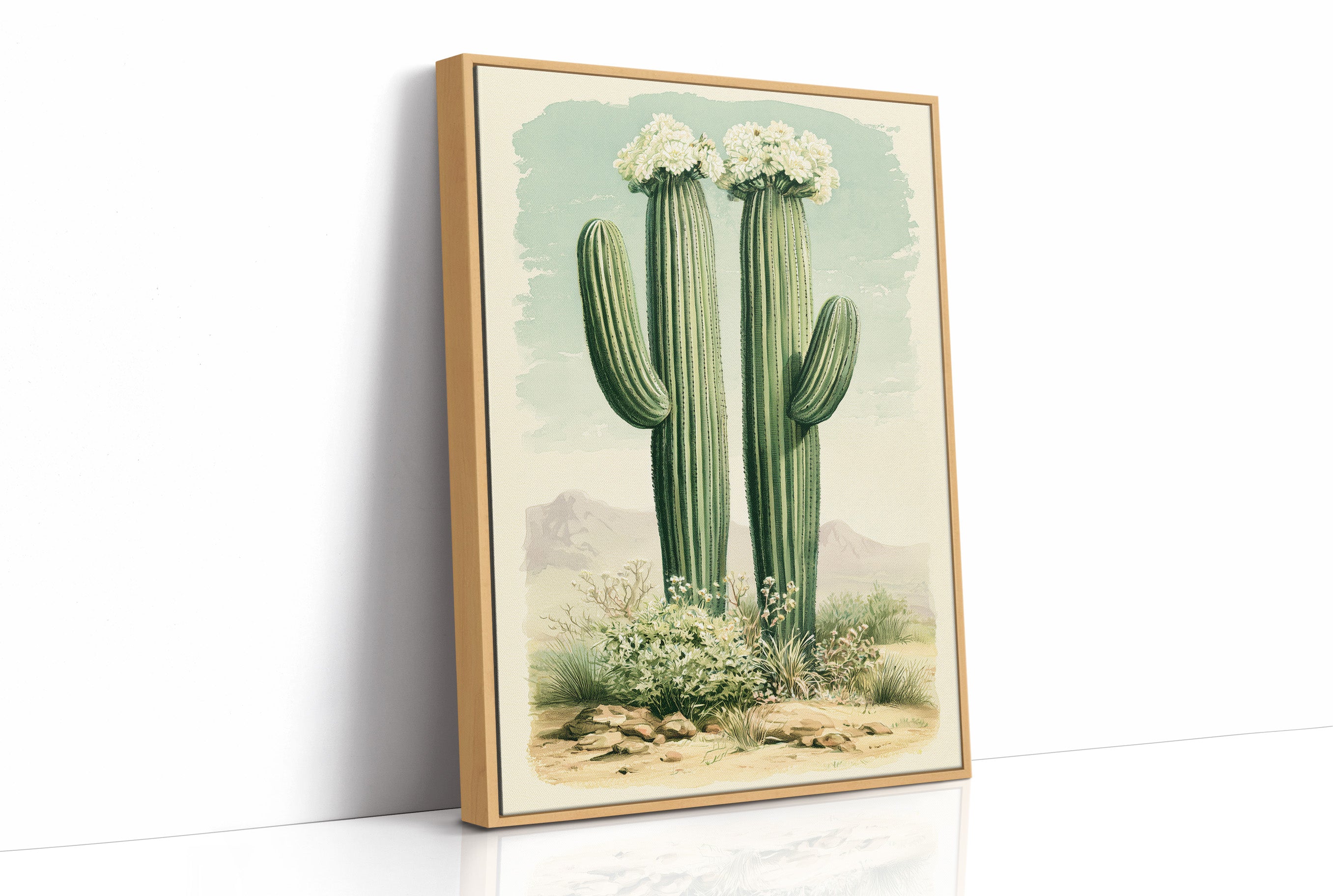 Twin Saguaros in Bloom