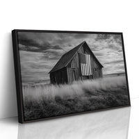 Prairie Stars Remember Their Home