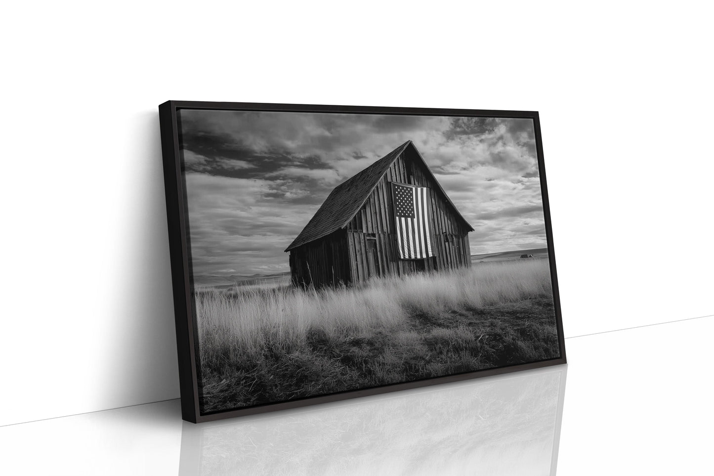 Prairie Stars Remember Their Home