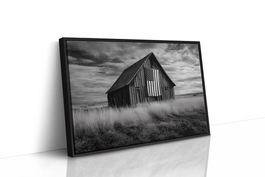 Prairie Stars Remember Their Home
