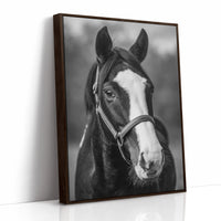 Gentle Spirit
