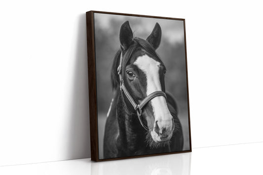 Gentle Spirit
