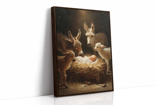 Gentle Creatures Share Sacred Night