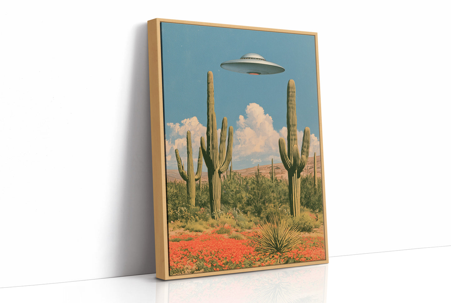 Saguaros and Saucers