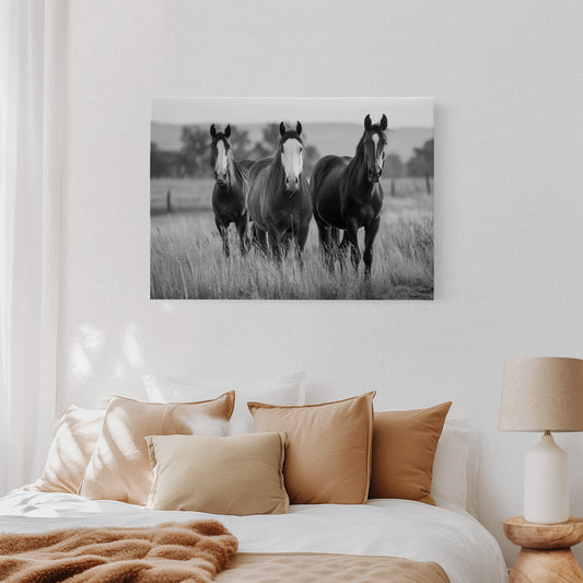 Three Mares Stand Among Prairie Grass