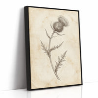 Thistle Study — Vintage Pen and Ink Botanical Print
