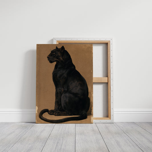 Just A House Cat, Honestly