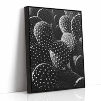 Desert Geometry in Monochrome