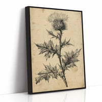 Thistle Study — Heavy Crosshatch Botanical Engraving